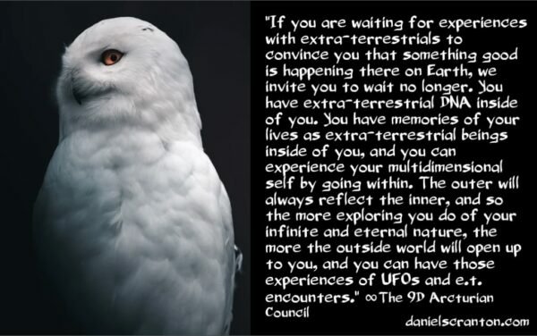 E.T.-encounters-UFOs-Non-Interference-the-9th-dimensional-arcturian-council-channeled-by-daniel-scranton-600x376.jpg