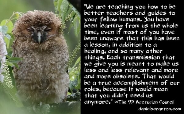 youre-becoming-better-teachers-healers-guides-the-9d-arcturian-council-channeled-by-daniel-scranton-600x374.jpg