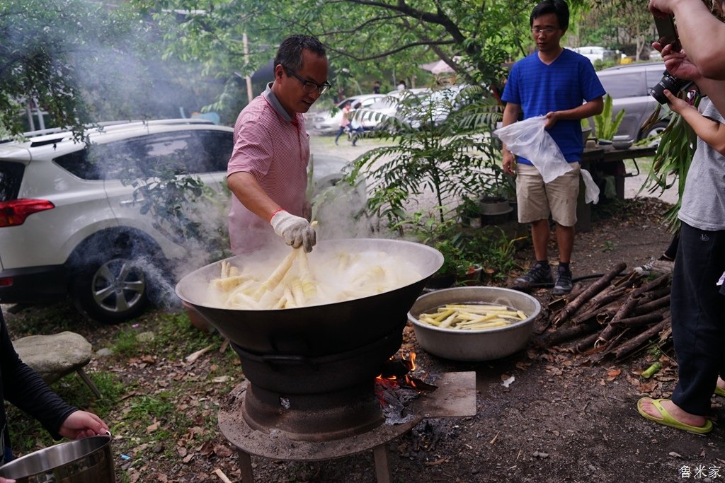 苗栗泰安葳達露營，採桂竹筍體驗(114露)