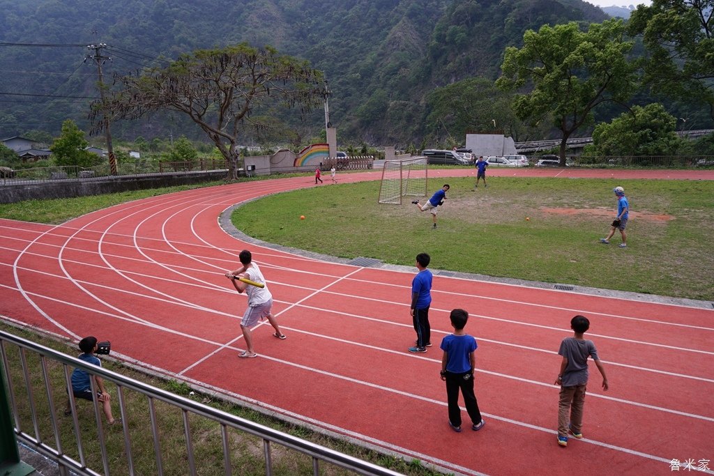 苗栗泰安葳達露營，採桂竹筍體驗(114露)