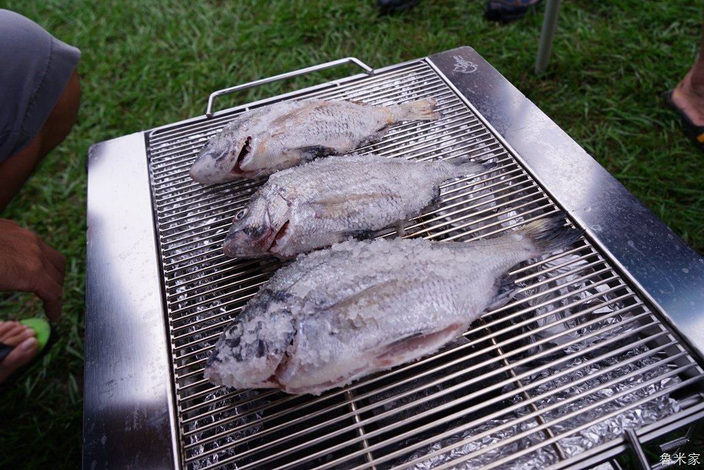 苗栗頭屋茶書坊露營(104露)-小孩的釣魚初體驗