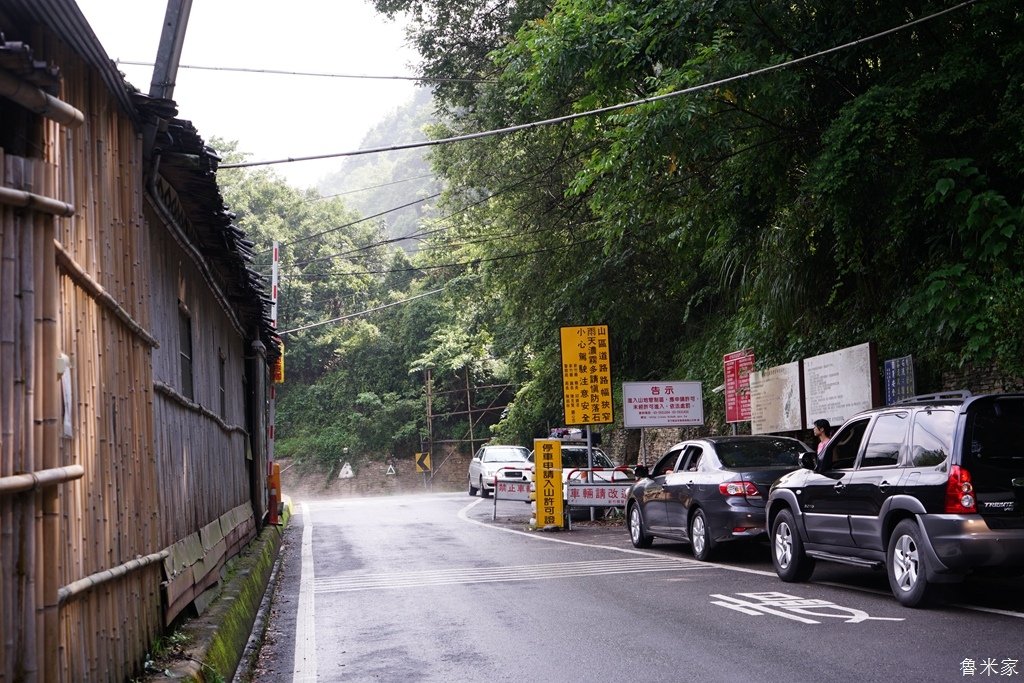 司馬庫斯露營，巨木群道(98露)