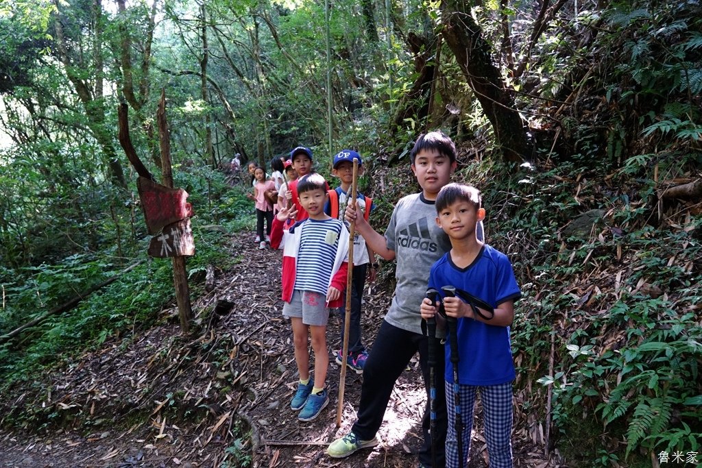 司馬庫斯露營，巨木群道(98露)