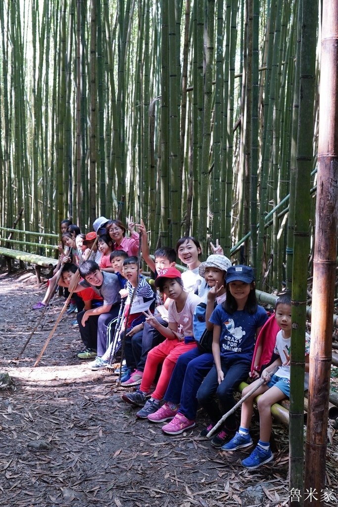 司馬庫斯露營，巨木群道(98露)