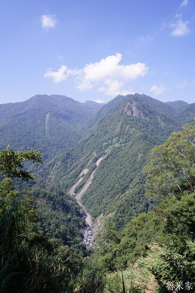 司馬庫斯露營，巨木群道(98露)