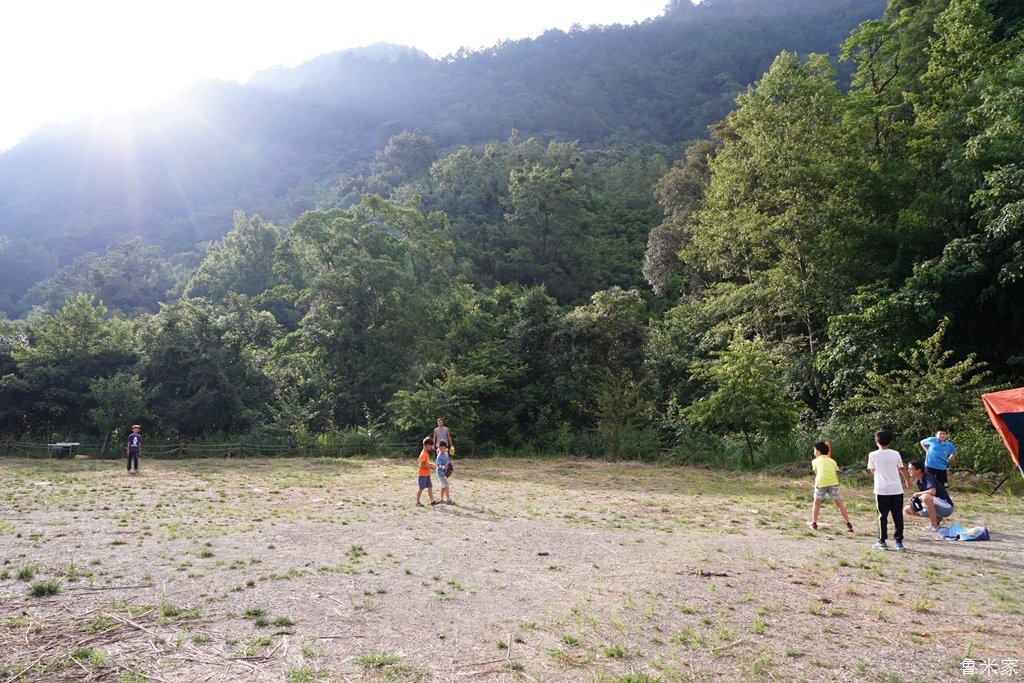 司馬庫斯露營，巨木群道(98露)