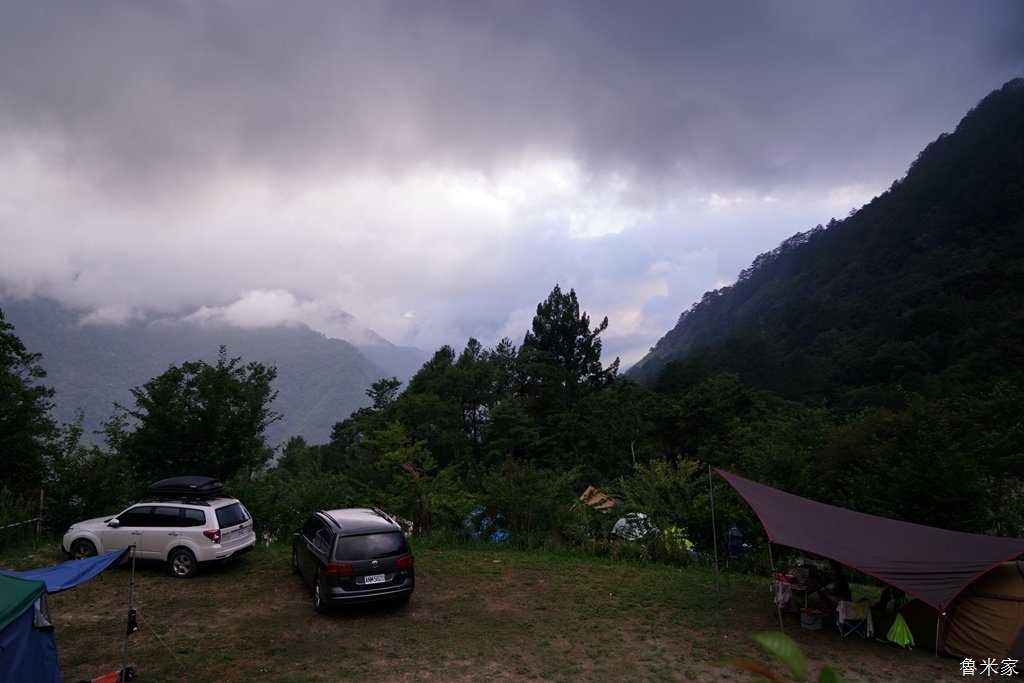 司馬庫斯露營，巨木群道(98露)