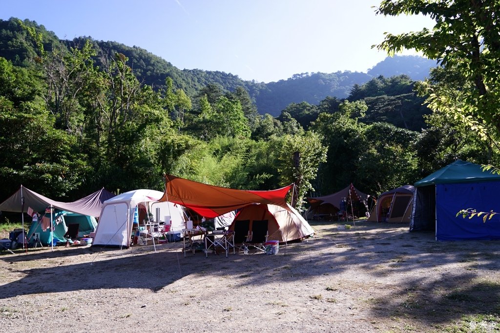 司馬庫斯露營，巨木群道(98露)