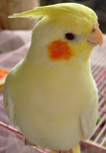 20090815 (12).jpg
