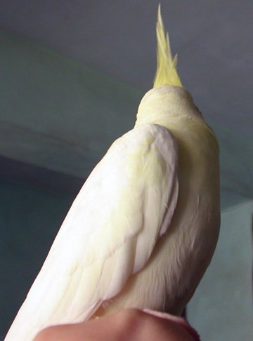 20091007 (4).JPG