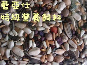 DSCN0098.jpg