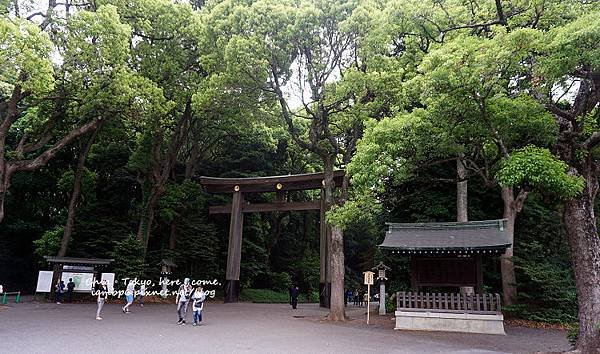 東京景點║市中心的森林明治神宮，東京鐵塔，我和老媽 Day 