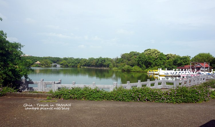 P03.jpg