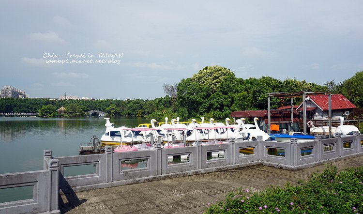 P04.jpg