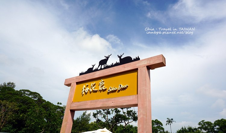P10.jpg