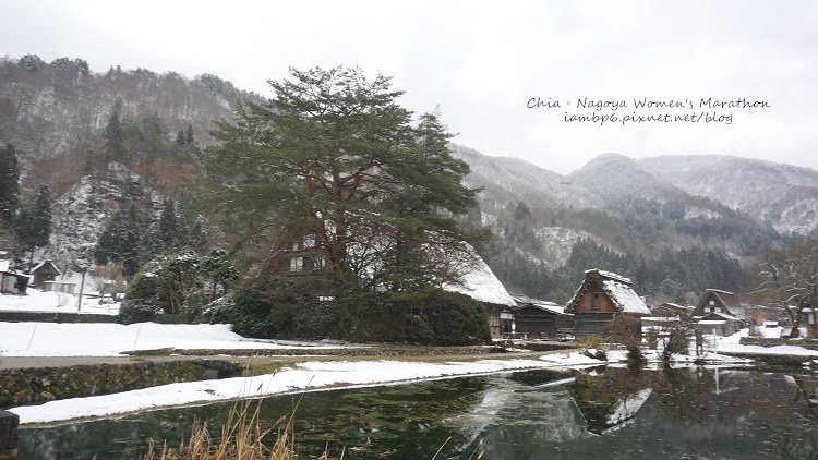 春寒料峭名古屋合掌村，