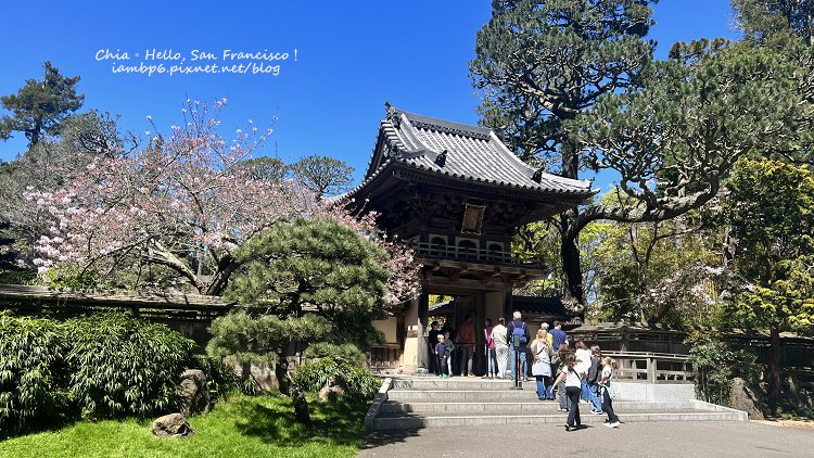 走進舊金山綠洲｜金門公園(Golden Gate Park)