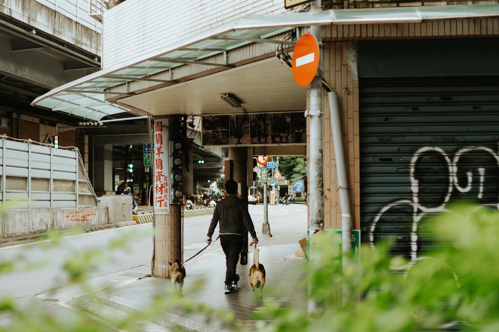 台北｜島內散步的大稻埕小旅行