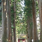 戶隱神社山門