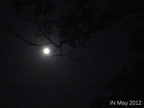 May-Super Moon