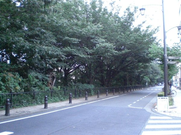 風之散步道.JPG