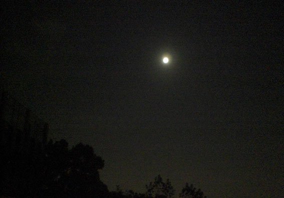 天台追月01.jpg