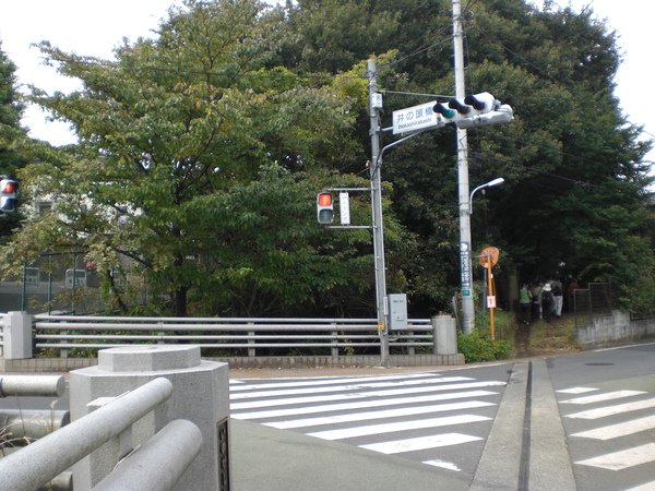 玉川上水-井之頭橋.JPG