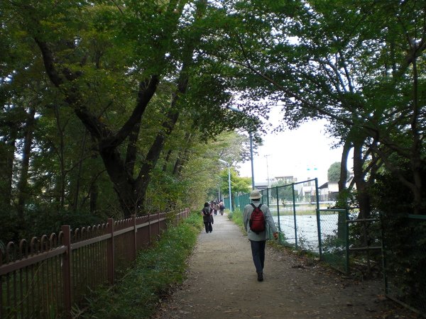 玉川上水01.JPG