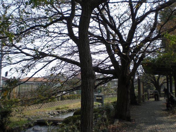 二領用水02.JPG