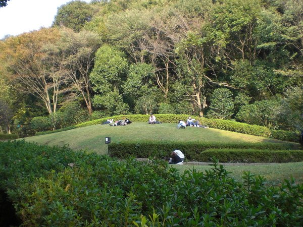 東高根森林03.JPG