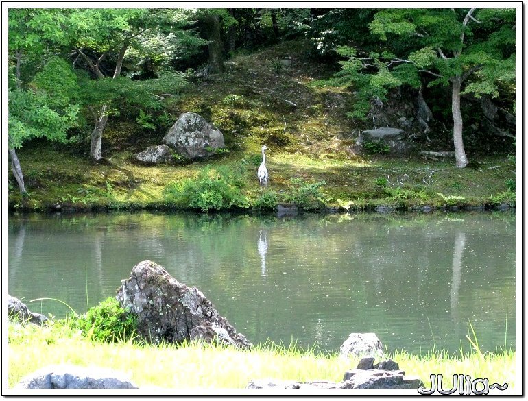 （嵐山）天龍寺 (8).jpg