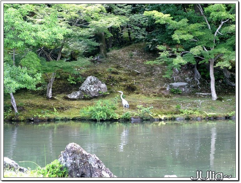 （嵐山）天龍寺 (12).jpg