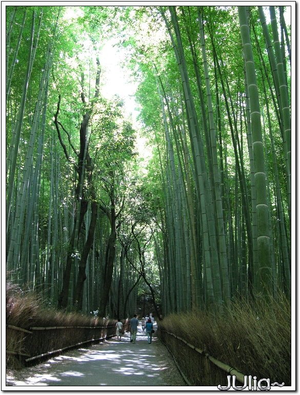 （嵐山）竹林步道.jpg