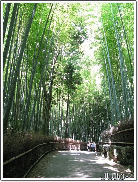 （嵐山）竹林步道 (4).jpg