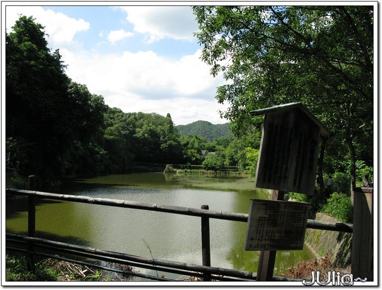 （嵐山）竹林步道 (6).jpg