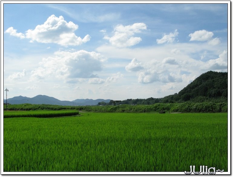 （嵐山）觀光小火車 (5).jpg