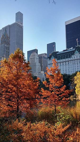 20151108_085338_HDR.jpg