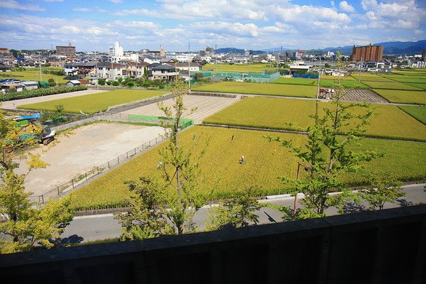 _MG_3950.JPG