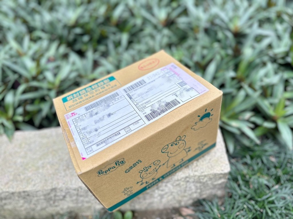 不含蔗糖！美國酵素大廠NEC綜合消化酵素【Carloine卡