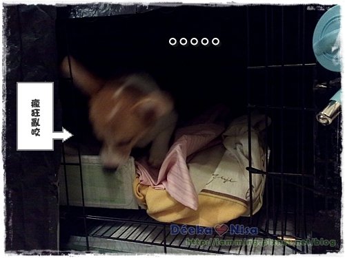 201011162417.jpg