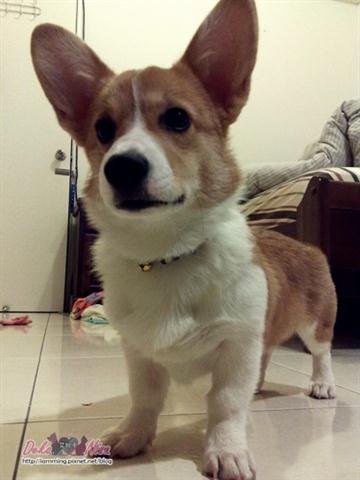 201012102680.jpg