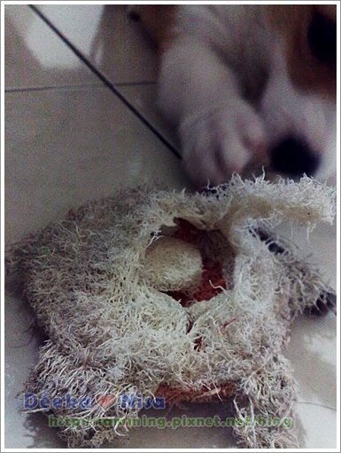 201010152204.jpg