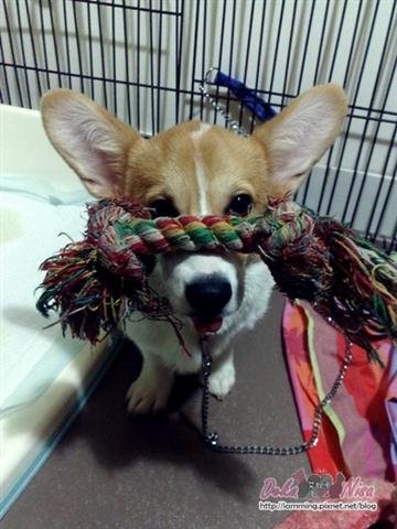 201012232858.jpg