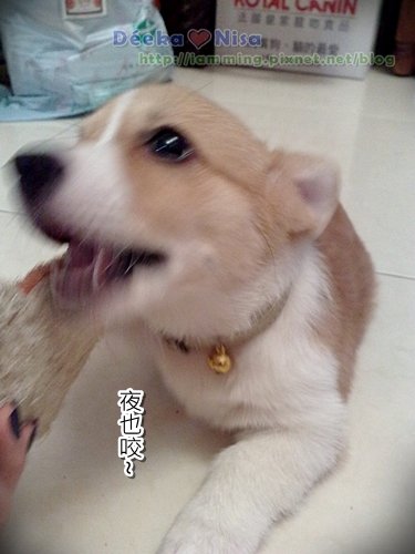 201009262043.jpg