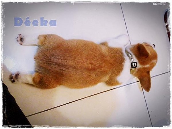 201009141904.jpg
