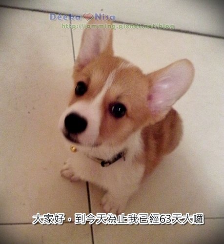 201009262029.jpg