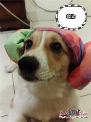 201011282488.jpg