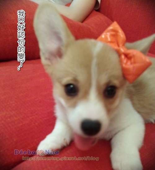201009202015.jpg