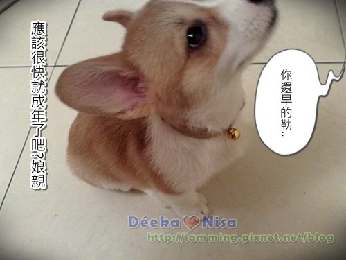 201009262032.jpg