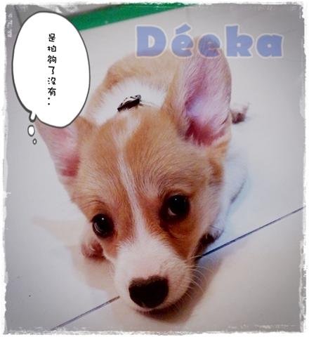 201009141902.jpg